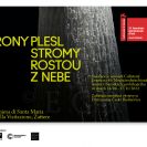 Dům umění: snímek z expozice z roku 2022, Rony Plesl; foto Jan Mahr, archiv Domu umění.