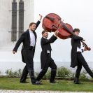 Jihočeská filharmonie: promo foto orchestru 2022, kontrabasy, foto Petr Zikmund; archiv Jihočeské filarmonie. 