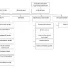 Jihočeská univerzita: organizační struktura k 2014; podle M. Novotného.