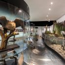 Jihočeské muzeum: stálá expozice otevřená 17. ledna 2020, přírodověda, fauna; fotoarchiv Jihočeského muzea v Českých Budějovicích.