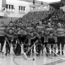 Lední hokej: roku 1953 získal Slavoj České Budějovice 3. místo v nejvyšší soutěži: zleva F. Mizera, K. Bílek, K. Oberleitner, V. Hajšman, A. Španinger, Z. Fiala, V. Němec; v popředí F. Vacovský, J. Vodička, M. Pešek, Č. Pícha, V. Lenc; archiv P. Turka.