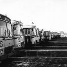 Městská hromadná doprava: autobusy městské hromadné dopravy ve vozovně na Novohradské ulici, 1980; sbírka J. Dvořáka; SOkA. 