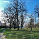 Parky a zahrady: park na nábřeží Malše, který byl původně součástí parkového areálu kolem Německého domu; foto Nebe 2021.