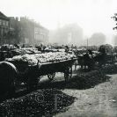 Trhy: podzimní zelný a uhelný trh na Senovážném náměstí, asi 1930, sbírka J. Dvořáka; SOkA.