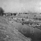 Voroplavba: vory na Malši, v pozadí železniční most tratě na Horní Dvořiště, vpravo šroubárna, asi 1935; foto J. Pašek.