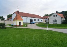 Dubičné: pohled na severovýchodní část návsi se zvoničkou a kovárnou při čp. 48; foto K. Kuča 2005.