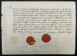 Hayder Václav: prezentuje listem z 3. ledna 1501 na místo kaplana při oltáři Máří Magdaleny ve farním kostele sv. Mikuláše Kristiana z Chvalšin; SOkA.
