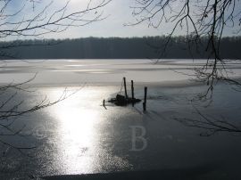 Městské rybníkářství: Vrbenské rybníky, Černiš; foto Z. Hanč 2006.