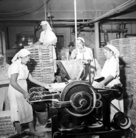 Merkur: výroba čokolád v 1. polovině 50. let 20. století; archiv V. Vondry.