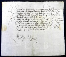 Rožmberkové: list Petra z Rožmberka z 27. července 1498, v němž nabízí purkmistru a konšelům města Budějovic, že při své schůzce s králem bude tlumočit i jejich vzkazy panovníkovi, mají-li nějaké; SOkA.