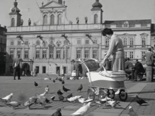 1964 – Nové město – rok do 700. výročí založení města