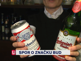 2013 – Spor o značku BUD