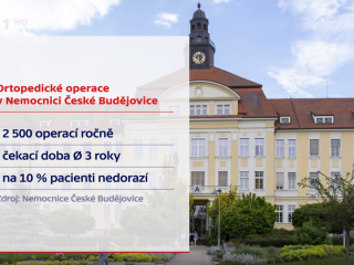 2024 – Výpomoc pro lékaře v nemocnici